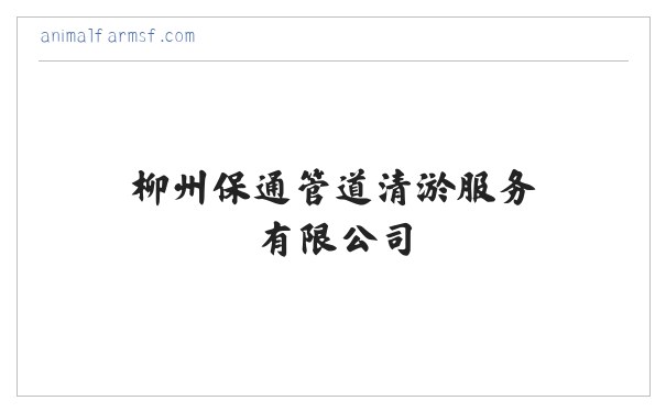 柳州保通管道清淤服务有限公司 缩略图